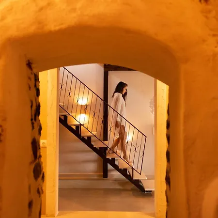 فيلة The Old Pottery Art Retreat لايميناس